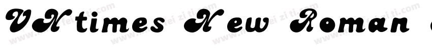 VNtimes New Roman Bo字体转换
